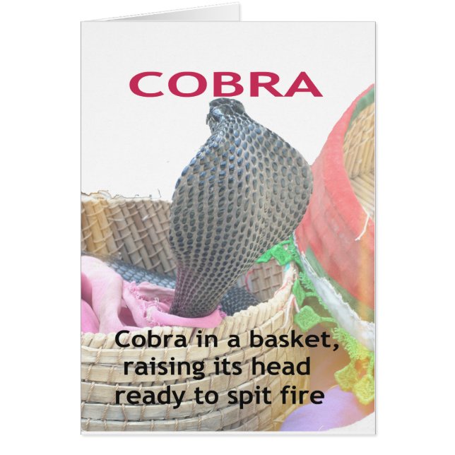 Cobra in a Basket Ready to spit Fire (Front)