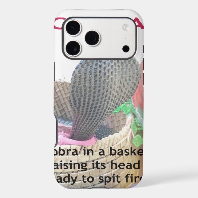 Cobra in Basket Art Print (Back)