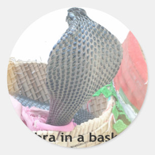 Cobra in Basket Art Print Classic Round Sticker
