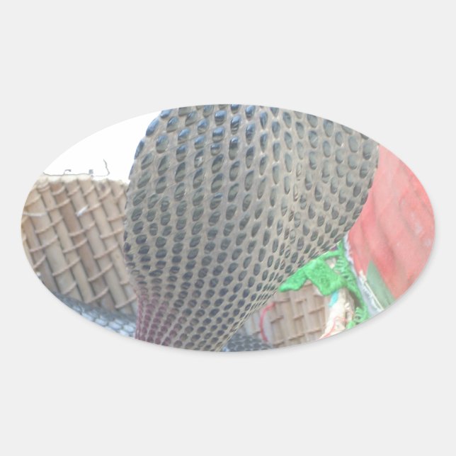 Cobra in Basket Art Print Oval Sticker (Front)