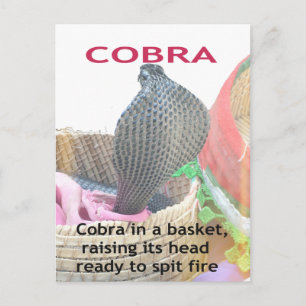 Cobra in Basket Art Print Postcard