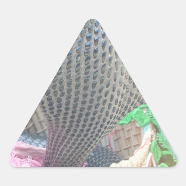 Cobra in Basket Art Print Triangle Sticker (Front)