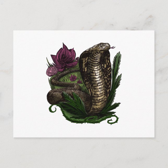 Cobra Postcard (Front)