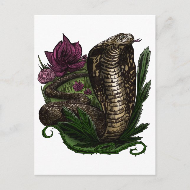 Cobra Postcard (Front)