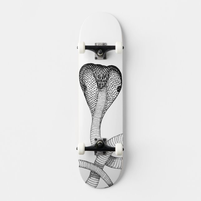 Cobra Skateboard (Front)