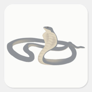 Cobra Square Sticker