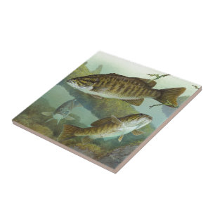 Coccibus Ceramic Tile
