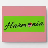 Coccinelle Harmonia zen