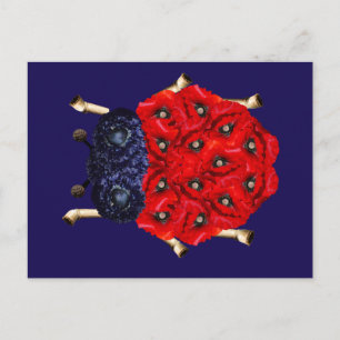 Coccinelle Postcard