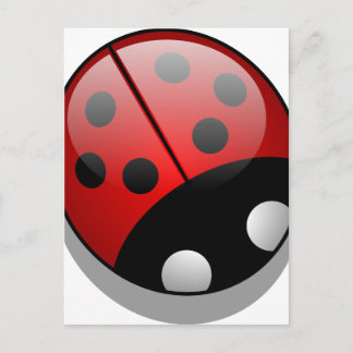Coccinelle Postcard