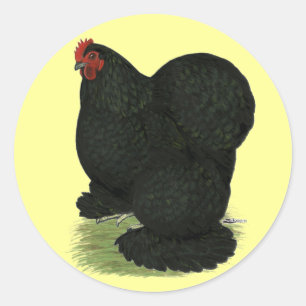 Cochin: Black Hen Classic Round Sticker