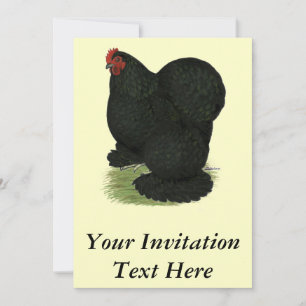 Cochin: Black Hen Invitation