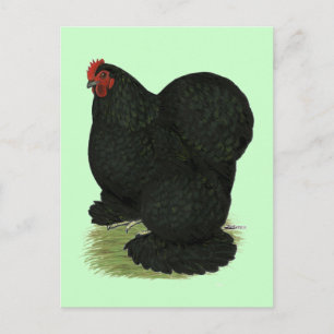 Cochin: Black Hen Postcard