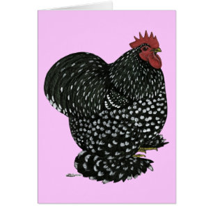 Cochin: Black Mottle