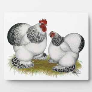 Cochin Columbian Bantams Plaque