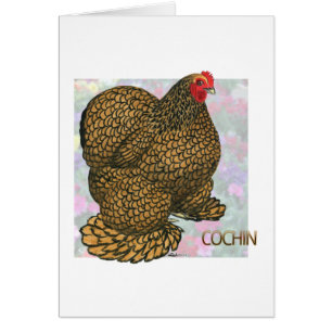 Cochin: Gold-laced Hen