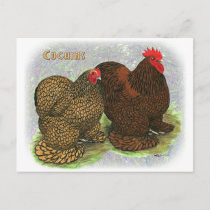 Cochin: Golden-laced2 Postcard