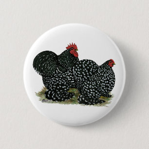 Cochin Mottled Chicken Pair 6 Cm Round Badge