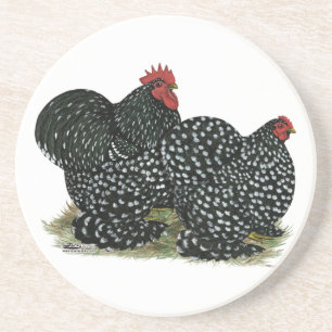 Cochin Mottled Chicken Pair Coaster