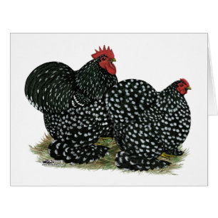 Cochin Mottled Chickens