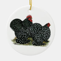 Cochin Mottled Chickens