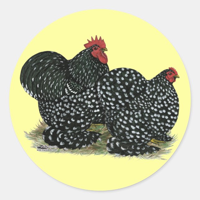 Cochin Mottled Chickens Classic Round Sticker (Front)