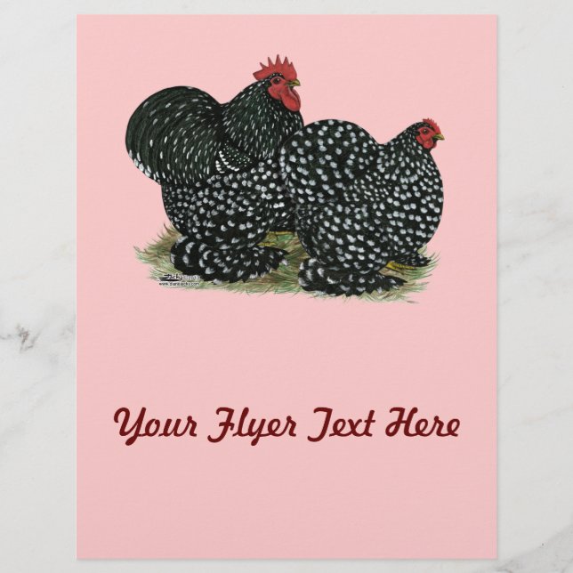 Cochin Mottled Chickens Flyer (Front)