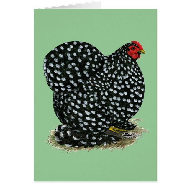 Cochin Mottled Hen (Front)