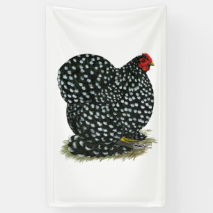 Cochin Mottled Hen Banner