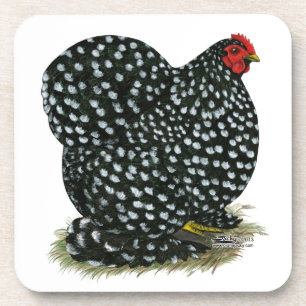 Cochin Mottled Hen Coaster