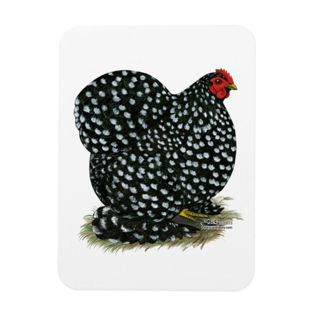 Cochin Mottled Hen Magnet (Vertical)