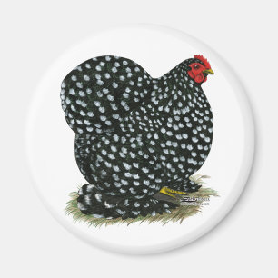Cochin Mottled Hen Magnet