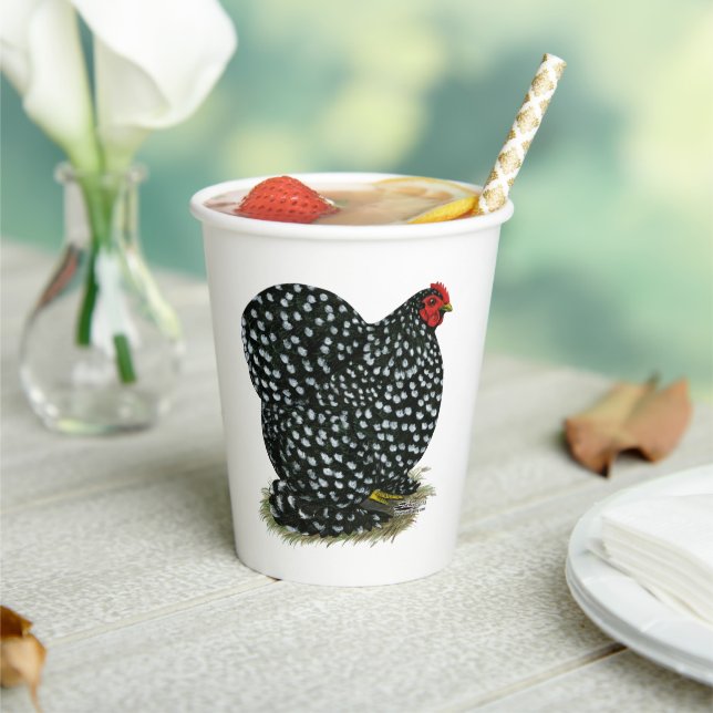 Cochin Mottled Hen Paper Cups (Insitu)