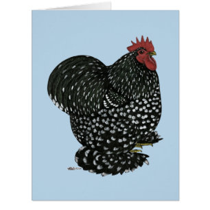 Cochin: Mottled Rooster