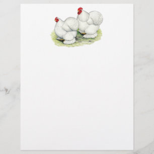 Cochin:  White Bantams