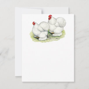 Cochin:  White Bantams