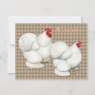 Cochin: White Bantams