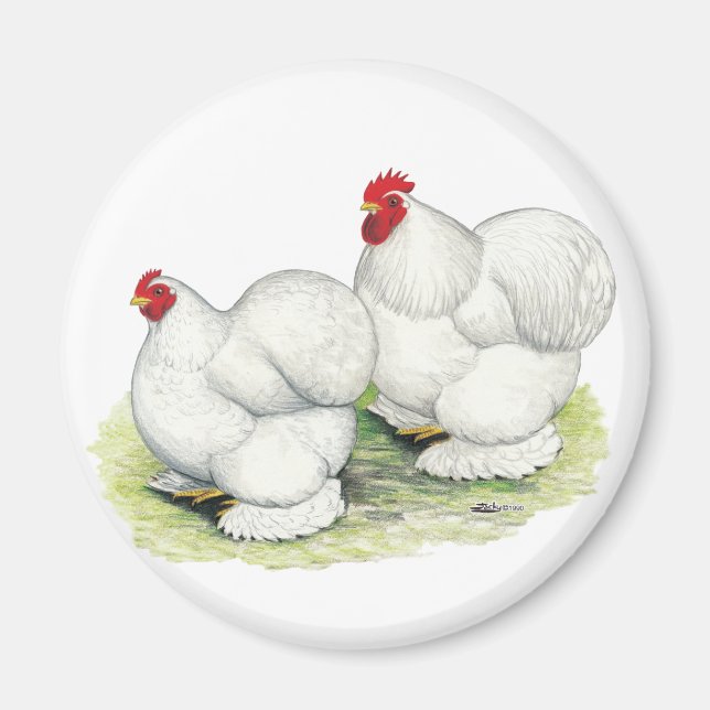 Cochin:  White Bantams Magnet (Front)
