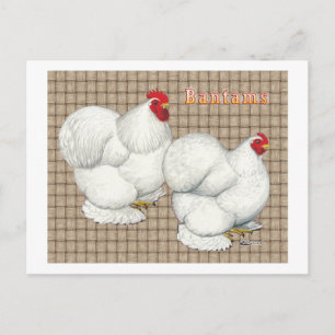 Cochin: White Bantams Postcard