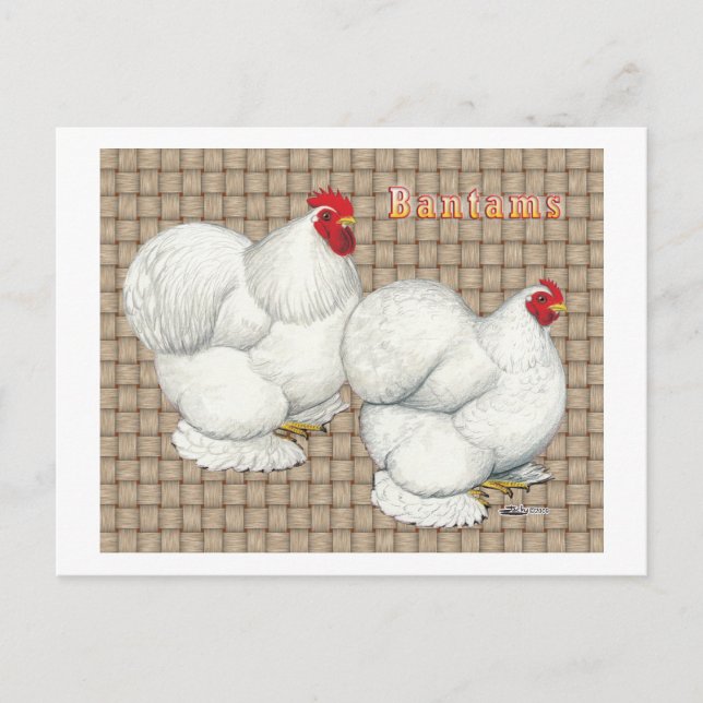 Cochin:  White Bantams Postcard (Front)