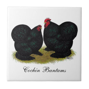 Cochins Black Bantam Pair Tile