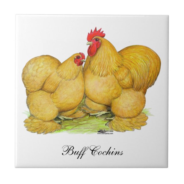 Cochins Buff Pair Tile (Front)