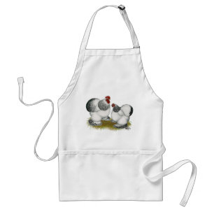 Cochins:  Columbian Bantams Standard Apron
