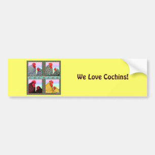 Cochins Four Colours Bumper Sticker