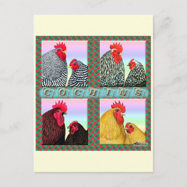 Cochins Four Colours Postcard (Front)