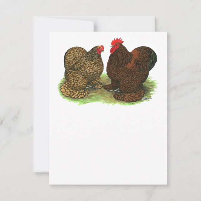 Cochins:  Golden-laced (Front)