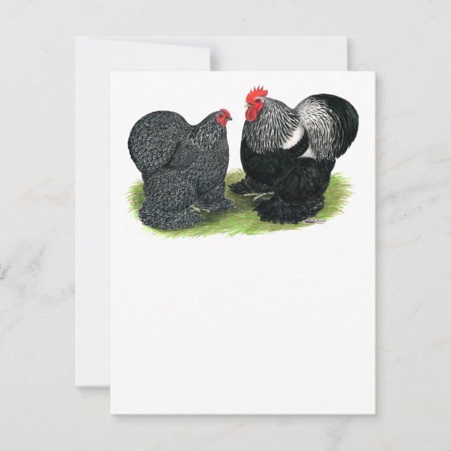 Cochins:  Silver-penciled (Front)