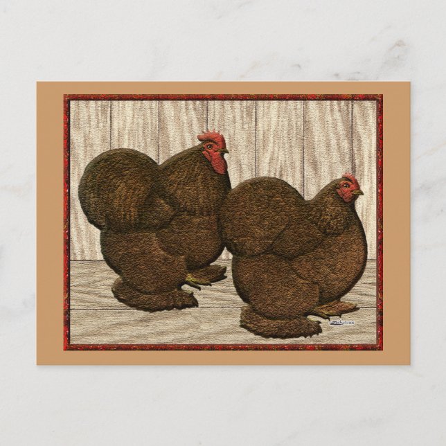 Cochins:  Textured Red Bantams Postcard (Front)