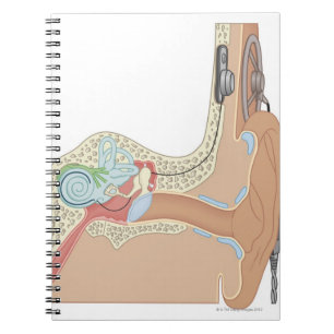 Cochlear Implants Notebook
