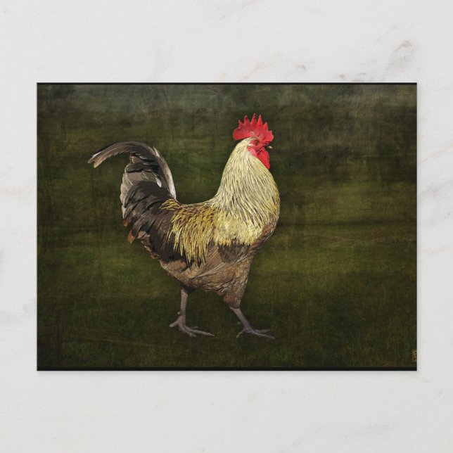 Cock-A-Doodle-Doo Postcard (Front)